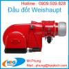 Đầu đốt Weishaupt | Nhà cung cấp thiết bị công nghiệp của hảng Weishaupt - anh 1