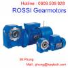 Động cớ Rossi Gearmotors | Đại lí Rossi Gearmotors tại Việt Nam | Rossi Gearmotors Motor - anh 1