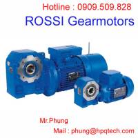 Động cớ Rossi Gearmotors | Đại lí Rossi Gearmotors tại Việt Nam | Rossi Gearmotors Motor