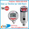 Đại lý TecSis tại thị trường Việt Nam - anh 1