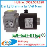 Đại lý Brahma tại thị trường Việt Nam